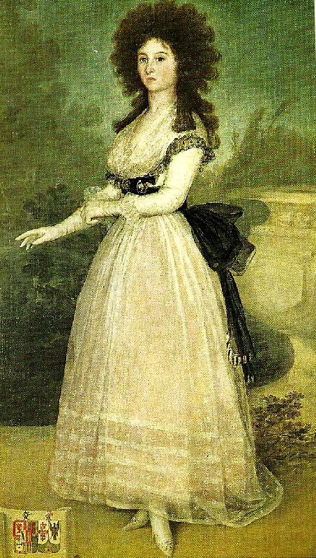 Francisco de Goya dona tadea arias de enriquez oil painting picture